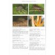 Touroult J., 2014: Contribution à l'étude des Coléoptères de Guyane, Tome VIII
