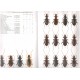 Farkač J., 2014: Nebriinae - Broscinae (Coleoptera: Rhysodidae, Carabidae), 24 pp. Folia Heyrovskyana