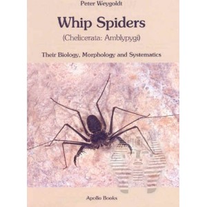 http://www.entosphinx.cz/1074-3223-thickbox/weygoldt-p-2000-whip-spiders-their-biology-morphology-and-systematics-chelicerata-amblypygi.jpg