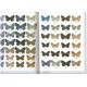 Buszko J., Maslowskij J., 2008: Motyle dzienne Polski, Lepidoptera: Hesperioidea, Papiliondidea, 274 pp.