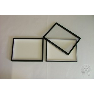 http://www.entosphinx.cz/1107-3259-thickbox/33-box-with-glass-lid-27x39x54-cm-black.jpg