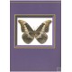 Fisher J., 2009: The Gallery of Butterflies, Book 1., Morpho, Part 1 (Field Guide)