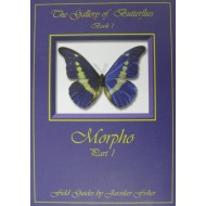 Fisher J., 2009: The Gallery of Butterflies, Book l., Morpho ( Part l. ) 88 pp.