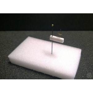 http://www.entosphinx.cz/1191-3556-thickbox/32-plastazote-foam-for-double-mounting-of-insects-4x4x12-mm.jpg
