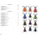 Chatenet G., 2014: Phytophagous Beetles of Europe, Vol. 3: Anthribidae, Bruchidae, Curculionidae Entiminae