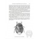 Lis J. A., 2000: A revision of the burrower-bug genus Macroscytus Fieber, 1860 (Hemiptera: Heteroptera: Cydnidae)