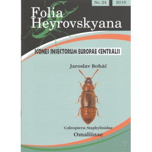 http://www.entosphinx.cz/1259-3966-thickbox/bohac-j-2016-staphylinidae-omaliinae-24-pp-folia-heyrovskyana-24.jpg