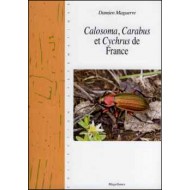 Maguerre D., 2016: Calosoma, Carabus et Cychrus de France