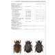 Král D., Bezděk A.,Juřena D.: (Coleoptera Scarabaeoidea - Geotrupidae, Trogidae, Glaresidae, Lucanidae