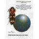 Schimmel R., 2004: Die Megapenthini-Arten Süd- und Südostasiens