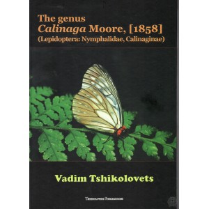 http://www.entosphinx.cz/1590-5437-thickbox/tschikolovets-v-2020-the-genus-calinaga-moore-1858-lepidoptera-nymphalidae-calinaginae.jpg