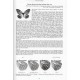 Tschikolovets V., 2020: The genus Calinaga Moore (1858) (Lepidoptera: Nymphalidae, Calinaginae)