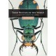 Štrunc V.,2020: Tiger Beetles of the World, illustrated guide to the genera