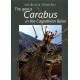 Retezár I., Szél G., 2021: The Genus Carabus in the Carpathian Basin