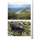 Retezár I., Szél G., 2021: The Genus Carabus in the Carpathian Basin