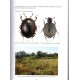 Jiroux E., 2021: Faune des Coléoptéres de Corse, Histeridae, Silphidae