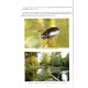 Jiroux E., 2021: Faune des Coléoptéres de Corse, Gyrinidae, Haliplidae, Noteridae, Paelobiidae, Dytiscidae