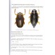 Jiroux E., 2021: Faune des Coléoptéres de Corse, Gyrinidae, Haliplidae, Noteridae, Paelobiidae, Dytiscidae