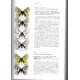 Cotton A., 2021: Papilionidae of the World