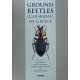Arndt E., Schnitter P., Sfenthourakis S., Wrase D. W., 2011: Ground Beetles ( Carabidae ) of Greece, 393 pp.