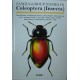 Bouchard P., Bousquet Y., 2011: Family-Group Names in Coleoptera (Insecta)