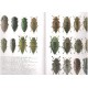 	 Bellamy C. L., 2003: An illustrated summary of the higher classification of the superfamily Buprestoidea (Coleoptera).