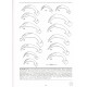 Deuve T., 2004: Illustrated Catalogue of the Genus Carabus of the World (Coleoptera: Carabidae)