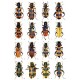 Gerstmeier R., 1998: Checkered beetles. Illustrated key to the Cleridae (Coleoptera) of the Western Plaearctic.