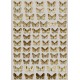 Hausmann, A. GEOMETRID MOTHS OF EUROPE.Vol. 3