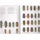 Hůrka K., 2005: Beetles of the Czech and Slovak Republics