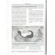Turlin B., Manil L., 2005: Etude synoptique et Répartition mondiale des Especes du Genre Parnassius Latreille 1804