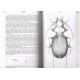 Ledoux G., Roux P., 2005: Nebria (Coleoptera, Nebriidae). Faune mondiale