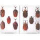 De Palma M., Frantz S. ,2010: Taxonomic revision of Megalorhina Westwood and subgeneric classification of Mecynorrhina Hope