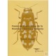 Verdugo A., 2005: Fauna de Buprestidae de la Península Ibérica y Baleares, 350 pp. 