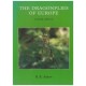 ABO2 - Askew, R.R. : The Dragonflies of Europe