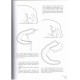 Marchisio R., Zunino M., 2012: Il genere Copris Müller. Tassonomia, filogenesi e note di zoogeografia.