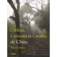 Deuve T.,2013 : Cychrus,Calosoma et Carabus de Chine