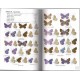 Tolman T., Lewington R., 2007: Motyle Polski i Europy