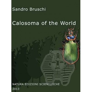 http://www.entosphinx.cz/961-1170-thickbox/bruschi-s2013-calosoma-of-the-world.jpg