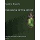 BRUSCHI S.,2013: CALOSOMA OF THE WORLD