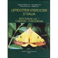 	 Bertaccini E., Fiumi G., Parenzan P., Zilli A., 2008: Lepidotteri Eteroceri d'Italia, Noctuidae vol. I