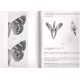 Bertaccini E., Fiumi G., Parenzan P., Zilli A., 2008: Lepidotteri Eteroceri d'Italia, Noctuidae vol. 1 (Calpinae - Catocalinae)