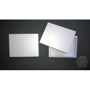 https://www.entosphinx.cz/1016-3020-thickbox/18-box-with-full-lid-40x50x54-cm-white.jpg
