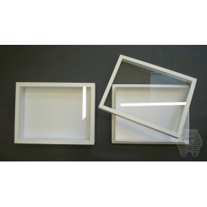 https://www.entosphinx.cz/1027-3031-thickbox/29-boite-entomologique-verre-42x51x54-cm-blanche.jpg