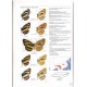 Bozano G. C., 2008: Guide to the Butterflies of the Palearctic Region: Nymphalidae, part 3