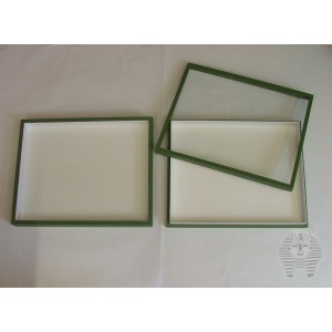 https://www.entosphinx.cz/1056-3089-thickbox/91-entomological-box-with-glass-lid-315x38x54-cm-black-for-plastic-unit-system-green.jpg