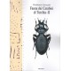 Cavazzuti P., 2014: Fauna dei Carabini di Turchia - 2