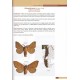 Teobaldelli A., 2014: Le farfalle dell'Orto botanico "Selva di Gallignano"