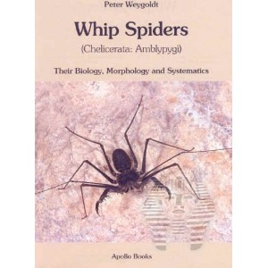 https://www.entosphinx.cz/1074-3223-thickbox/weygoldt-p-2000-whip-spiders-their-biology-morphology-and-systematics-chelicerata-amblypygi.jpg