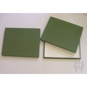 https://www.entosphinx.cz/1079-3232-thickbox/453-box-with-full-lid-195x26x54-green.jpg